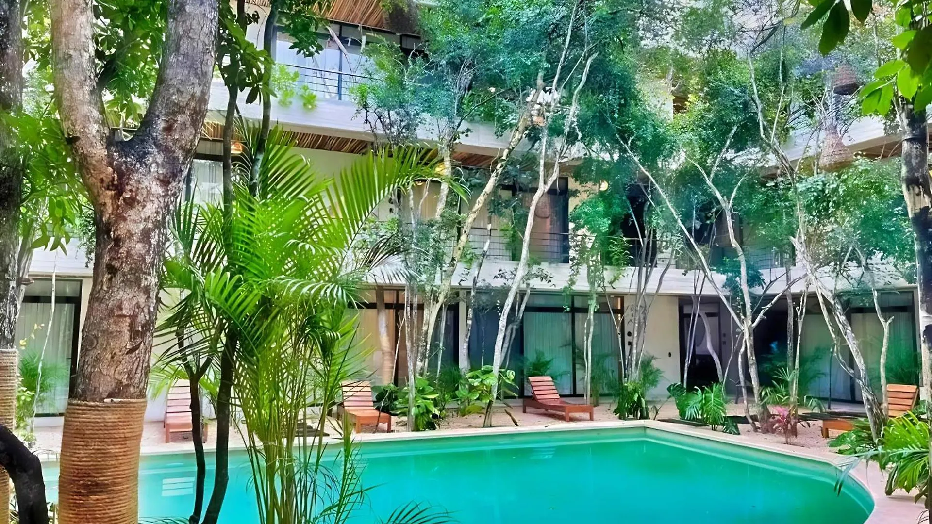 Etnica Tulum Residences Jungle Paradise 公寓